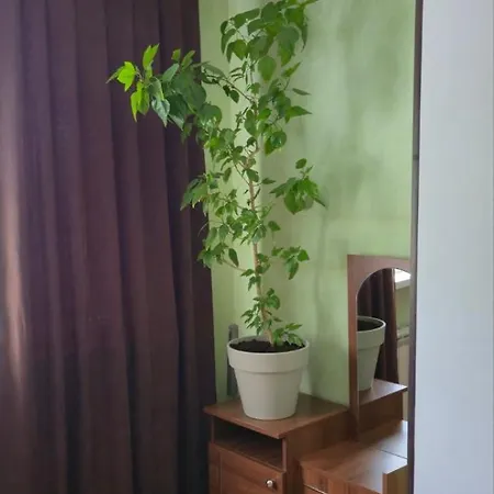 Belta*s Chişinău